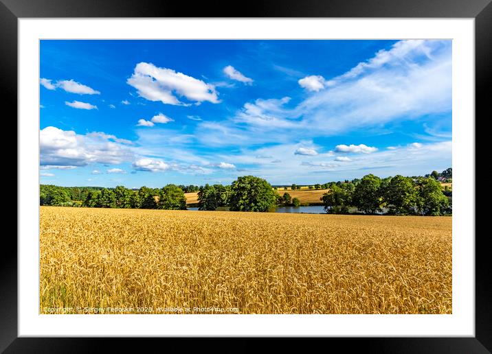 Summer rural landscape with wheat fields Framed Mounted Print by Sergey Fedoskin