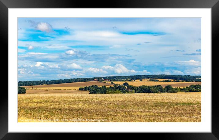 Summer rural landscape with fields and forests Framed Mounted Print by Sergey Fedoskin