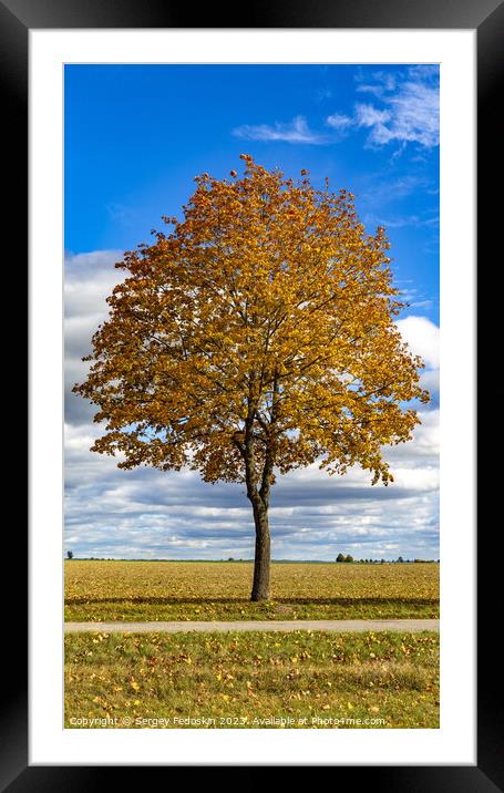 Autumn tree in a dry meadow over blue sky Framed Mounted Print by Sergey Fedoskin
