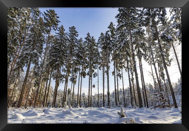 Snowy forest after heavy snowfall in central Europe Framed Print by Sergey Fedoskin