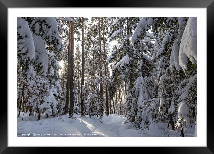 Snowy forest after heavy snowfall in central Europe Framed Mounted Print by Sergey Fedoskin