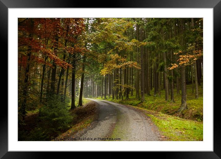 Road in autumn forest. South Bohemian region. Czec Framed Mounted Print by Sergey Fedoskin