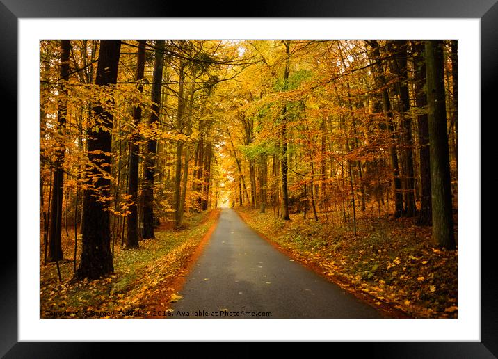 Road in autumn forest. Framed Mounted Print by Sergey Fedoskin