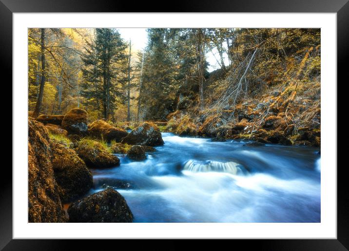 Autumn creek in Austrian Alps. Framed Mounted Print by Sergey Fedoskin