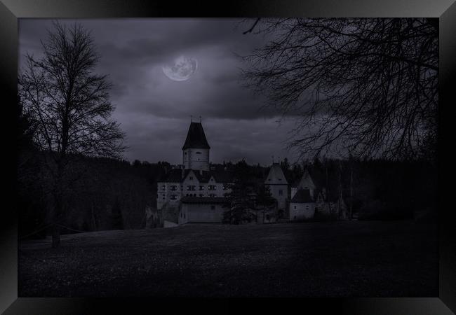 Old austrian castle in mystery moonlight. Framed Print by Sergey Fedoskin