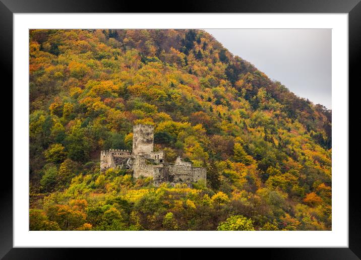 Ruins of Hinterhaus castle. Austria. Framed Mounted Print by Sergey Fedoskin