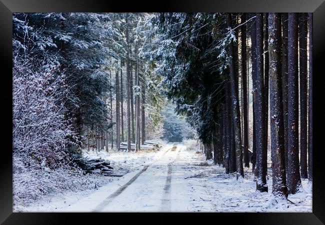 Road in winter forest in national park "Sumava". Framed Print by Sergey Fedoskin