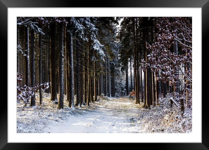 Road in winter forest in national park "Sumava". Framed Mounted Print by Sergey Fedoskin