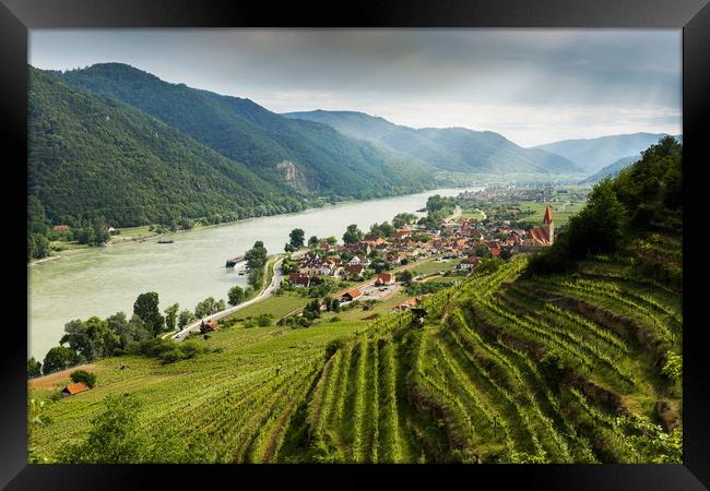 Wachau valley with the Danube river and vineyards. Framed Print by Sergey Fedoskin