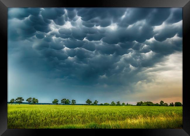 Mammatus clouds fill the sky. Framed Print by Sergey Fedoskin