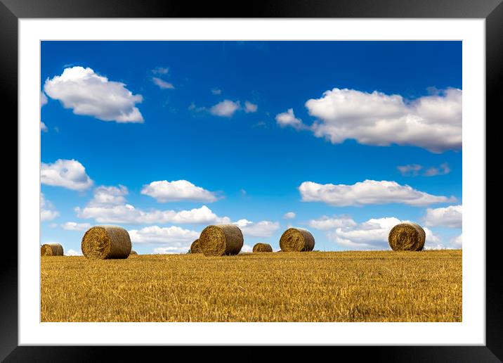 Rural nature in the farm land. Framed Mounted Print by Sergey Fedoskin