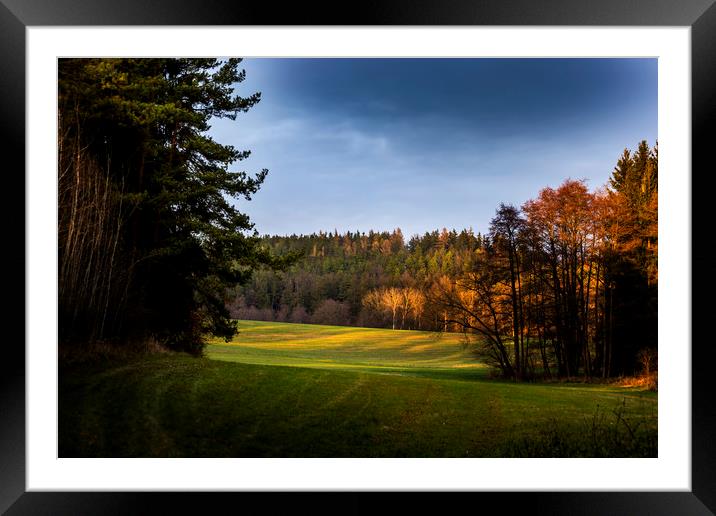 Picturesque landscape, field and forest on sunset Framed Mounted Print by Sergey Fedoskin