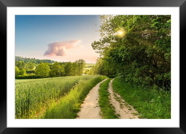 Summer scenery. The deciduous forest and rural roa Framed Mounted Print by Sergey Fedoskin