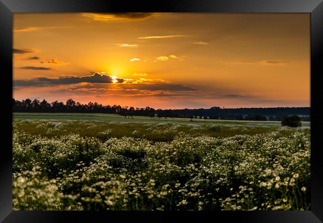 Czech counrtyside at sunset. Summer evening. Framed Print by Sergey Fedoskin