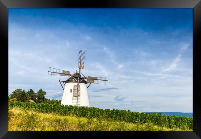 Old windmill near Retz village in Austria. Framed Print by Sergey Fedoskin