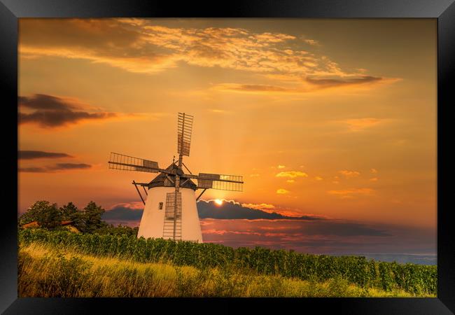 Old windmill near Retz village in Austria. Framed Print by Sergey Fedoskin
