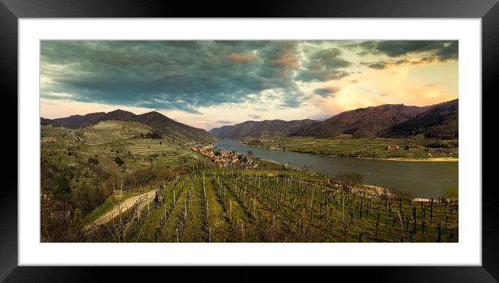 Spring time in Wachau valley. View to Spitz villag Framed Mounted Print by Sergey Fedoskin