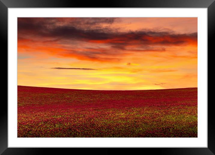 Beautiful sunset over the red clover field. Czech  Framed Mounted Print by Sergey Fedoskin