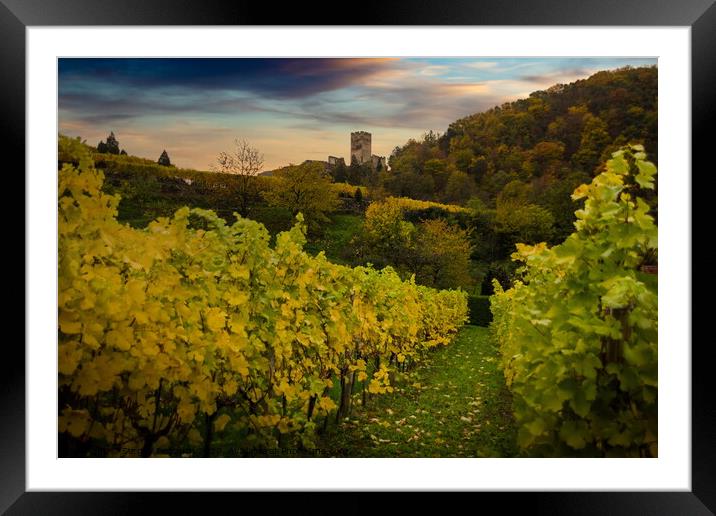 Vineyards in Wachau valley, Spitz, Lower Austria. Framed Mounted Print by Sergey Fedoskin