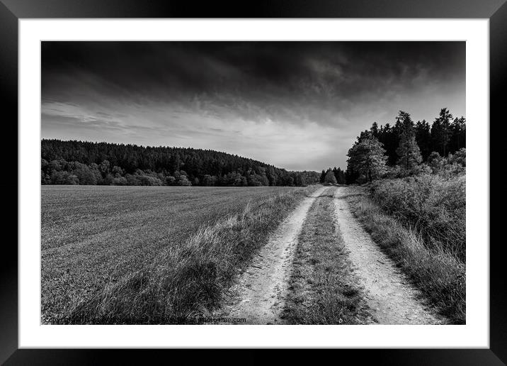 Rural road. Framed Mounted Print by Sergey Fedoskin