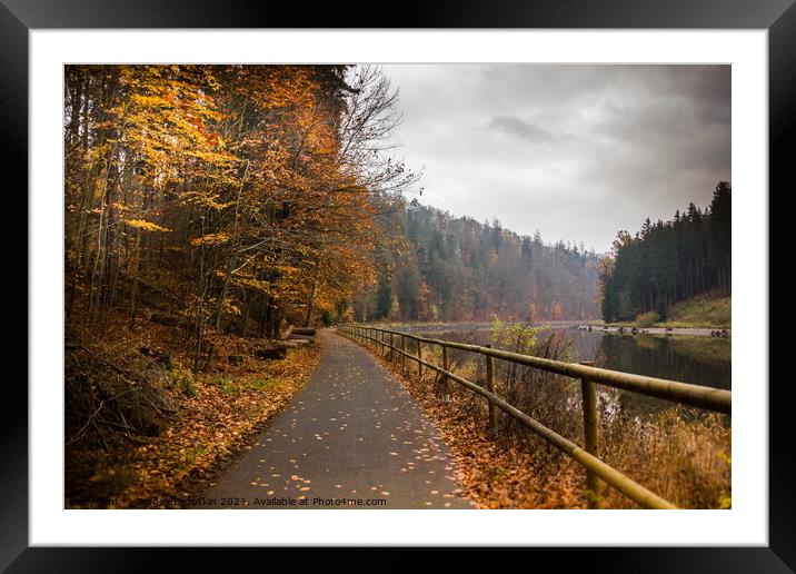 Road on a river bank.  Framed Mounted Print by Sergey Fedoskin