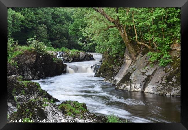 Cenarth Falls Framed Print by Sarah Hood