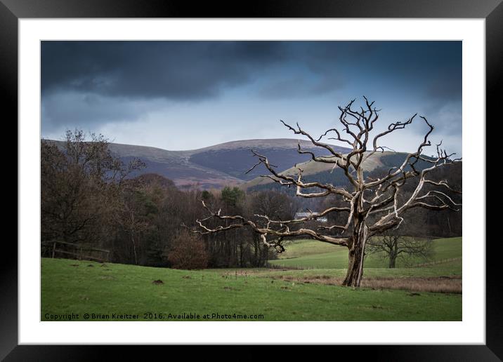 Stormy Day Framed Mounted Print by Brian Kreitzer