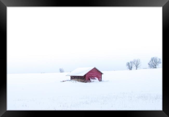 Swedish winter Framed Print by Hamperium Photography