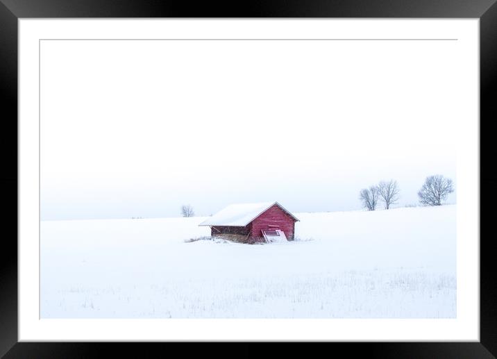 Swedish winter Framed Mounted Print by Hamperium Photography