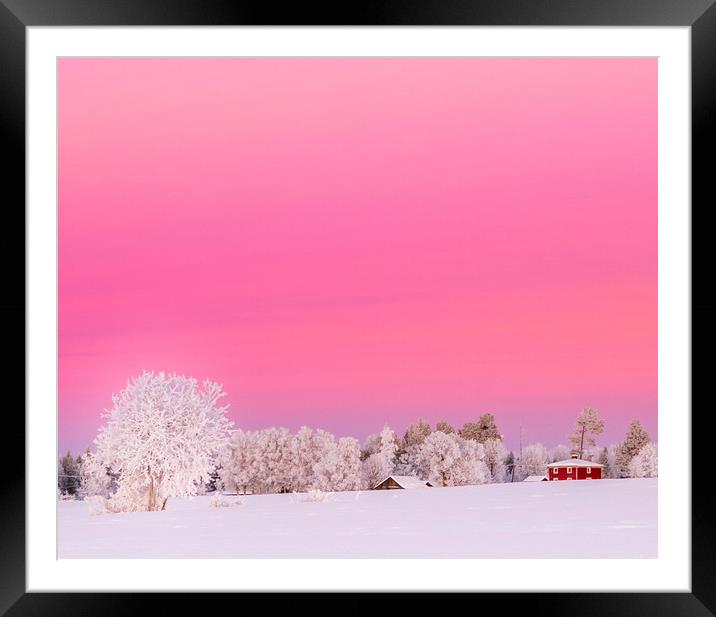 A pink winter  sunset in Sweden Framed Mounted Print by Hamperium Photography