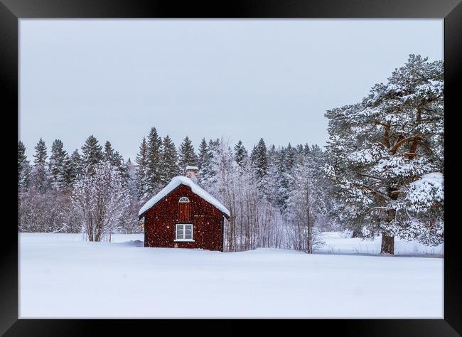 Snow in Sweden Framed Print by Hamperium Photography