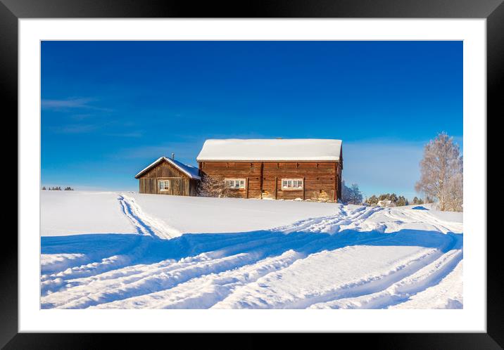 Cold winter day in Sweden Framed Mounted Print by Hamperium Photography