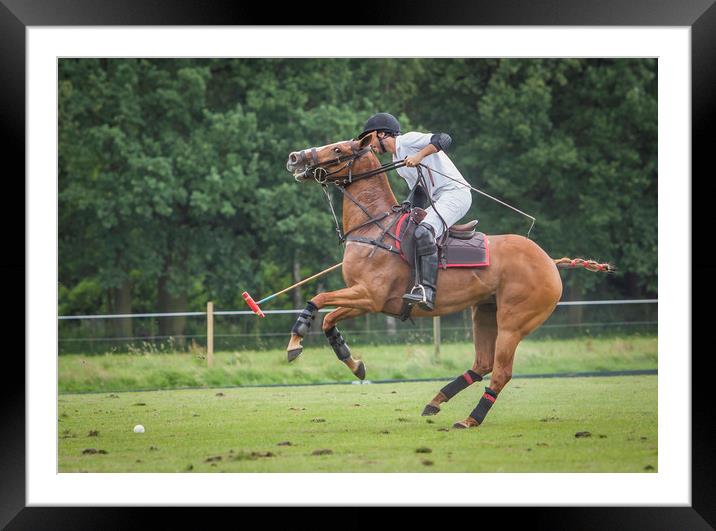 Polo competition in Belgium Framed Mounted Print by Hamperium Photography