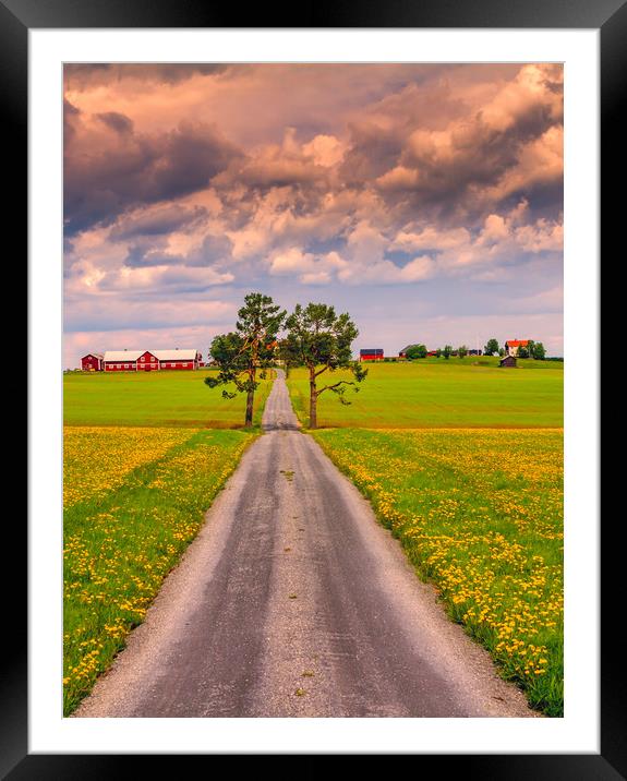 Fields of spring in Sweden Framed Mounted Print by Hamperium Photography