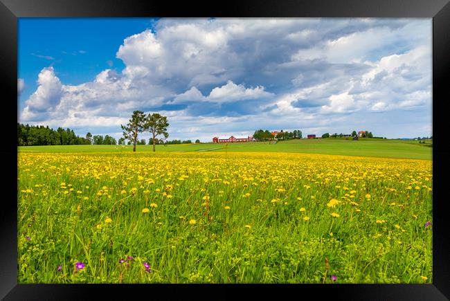 Spring in Sweden  Framed Print by Hamperium Photography