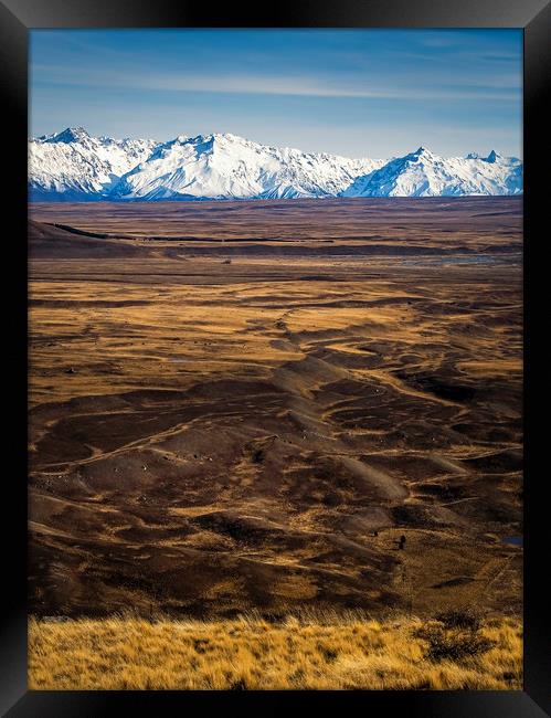New Zealand on his best Framed Print by Hamperium Photography