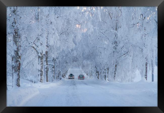 Winter in Sweden Framed Print by Hamperium Photography