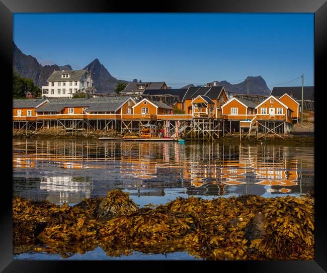 Sakrisøy on the Lofoten. Framed Print by Hamperium Photography