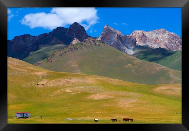 Kyrgyzstan. Mountain landscape with herd of horses and mobile ho Framed Print by Tartalja 