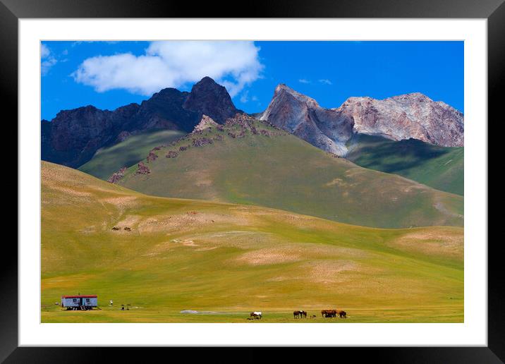 Kyrgyzstan. Mountain landscape with herd of horses and mobile ho Framed Mounted Print by Tartalja 