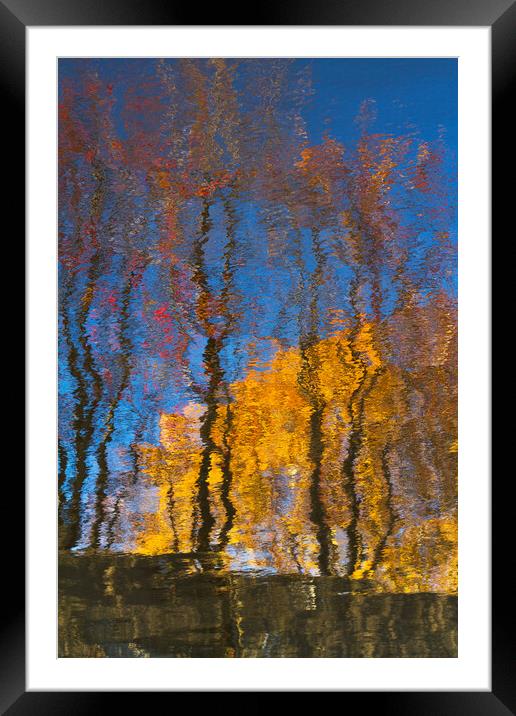 Autumn trees reflected on water Framed Mounted Print by Tartalja 