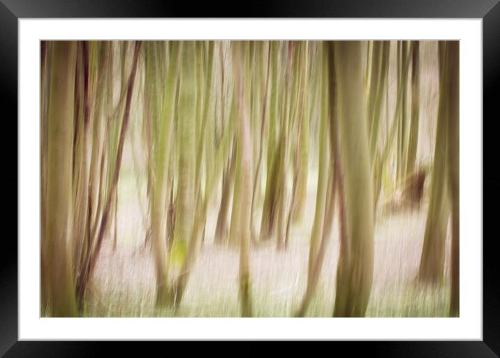 Woodlands Abstract Framed Mounted Print by M Meadley