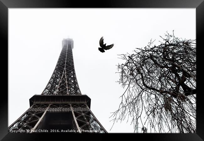 Eiffel Bird Framed Print by Paul Childs