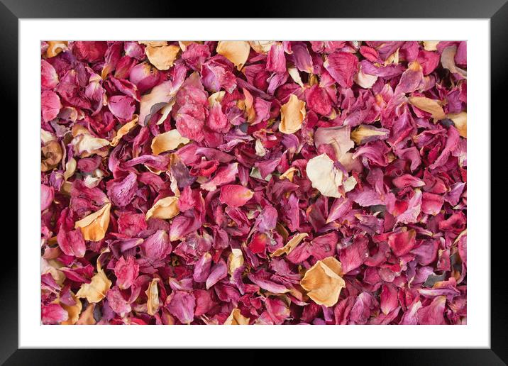 Dried petals Framed Mounted Print by Igor Krylov