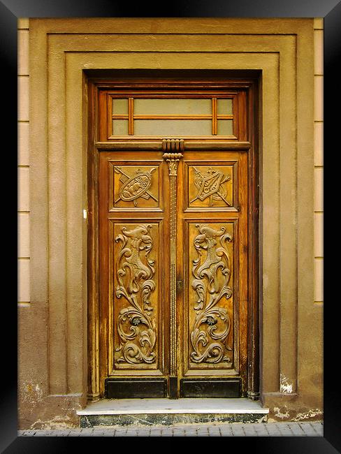 Spanish entrance door Framed Print by Igor Krylov
