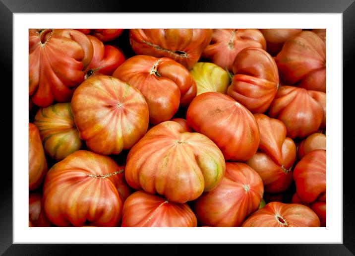 Tomatoes Framed Mounted Print by Igor Krylov