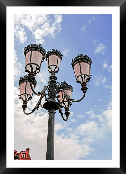 Street lamps by day Framed Mounted Print by Igor Krylov