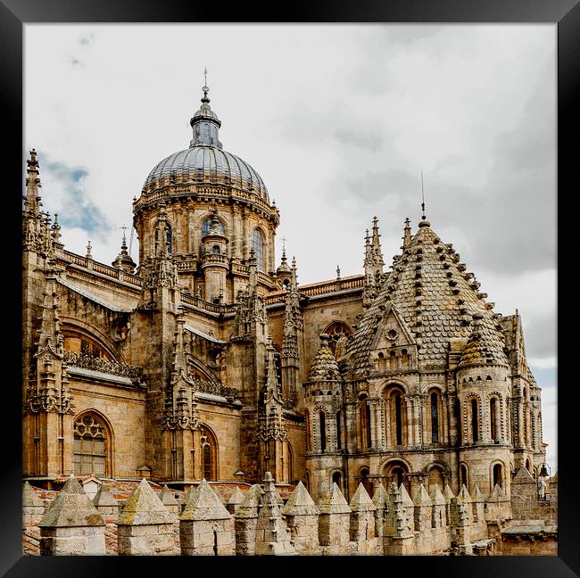 Cathedral of Salamanca Framed Print by Igor Krylov