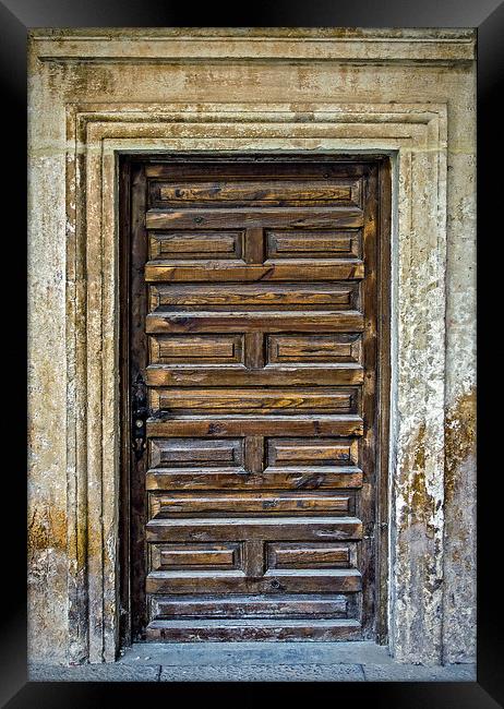 Old wooden door Framed Print by Igor Krylov