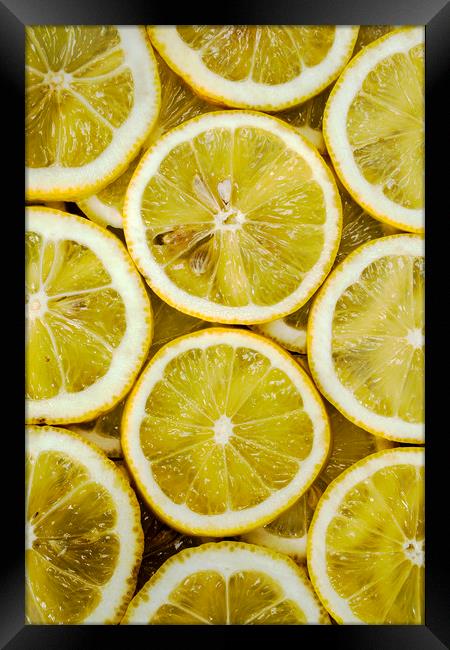 Slices of lemons Framed Print by Igor Krylov